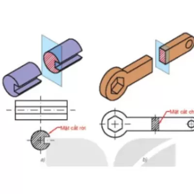 3D detailed cutting model